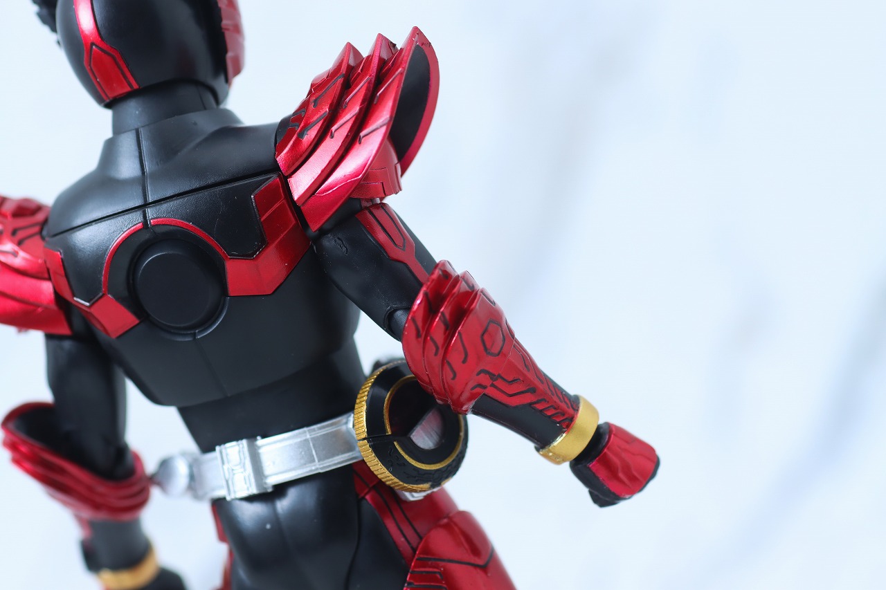 S.H.Figuarts 真骨彫製法　仮面ライダーオーズ タジャドルコンボ 最終回Ver.　レビュー　本体