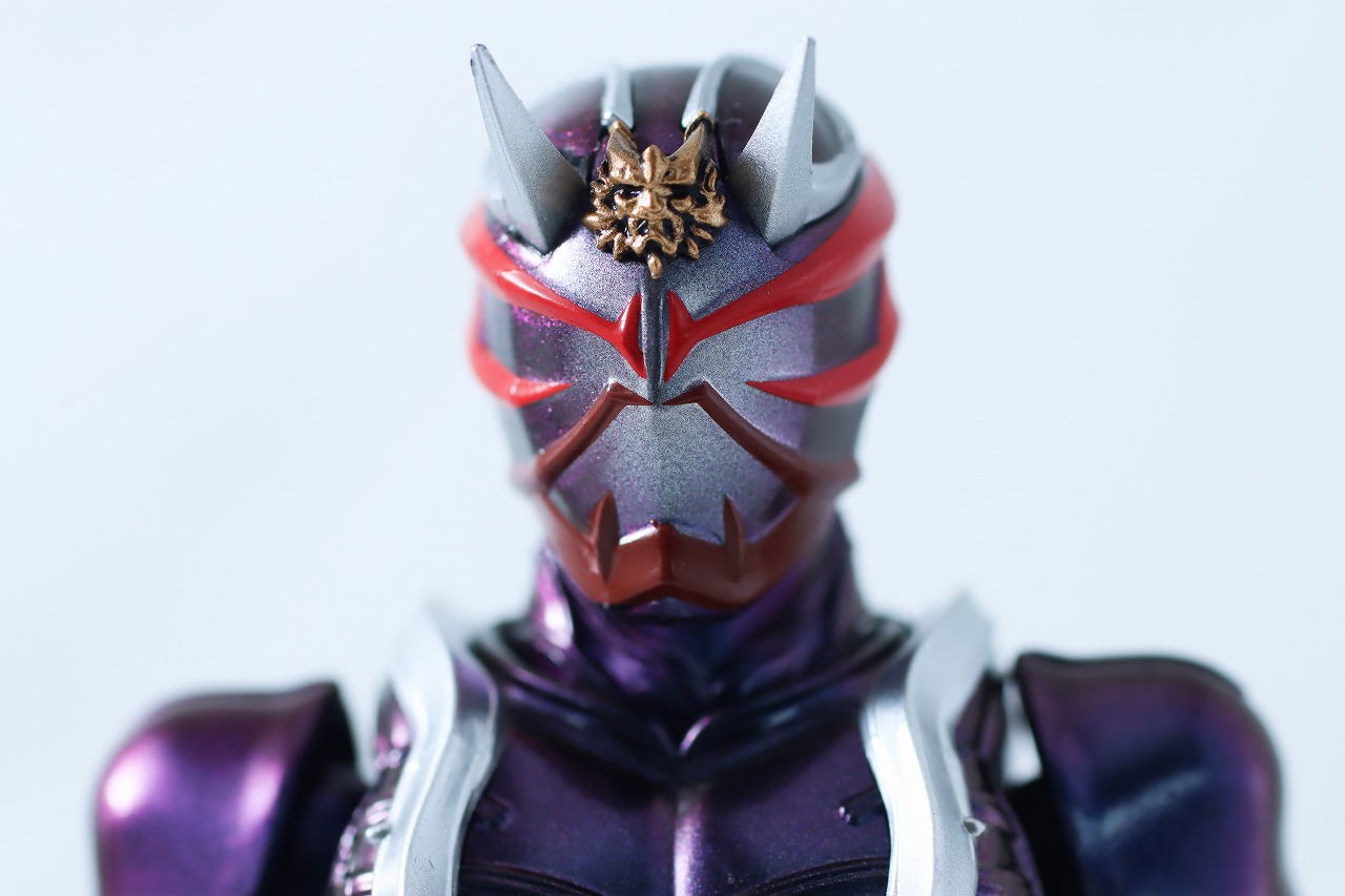 S.H.フィギュアーツ 真骨彫製法　仮面ライダー響鬼　真骨彫 10th Anniversary Ver.　レビュー　本体