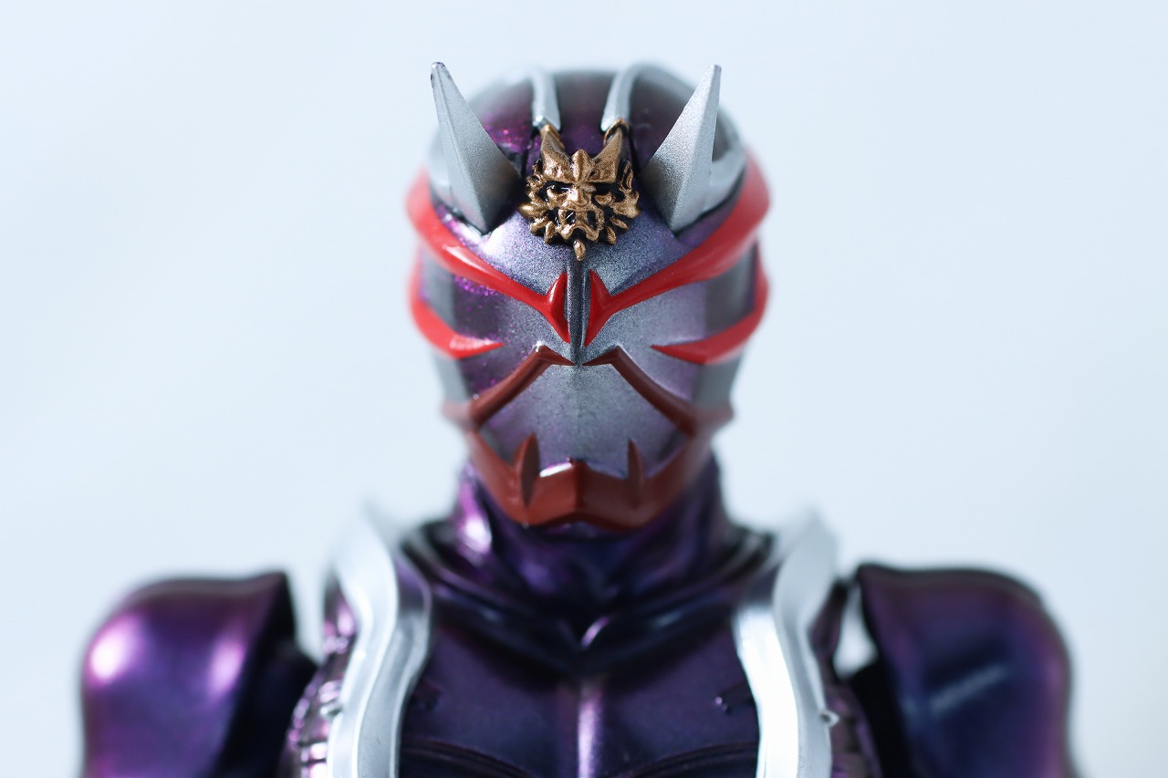 S.H.フィギュアーツ 真骨彫製法　仮面ライダー響鬼　真骨彫 10th Anniversary Ver.　レビュー　本体