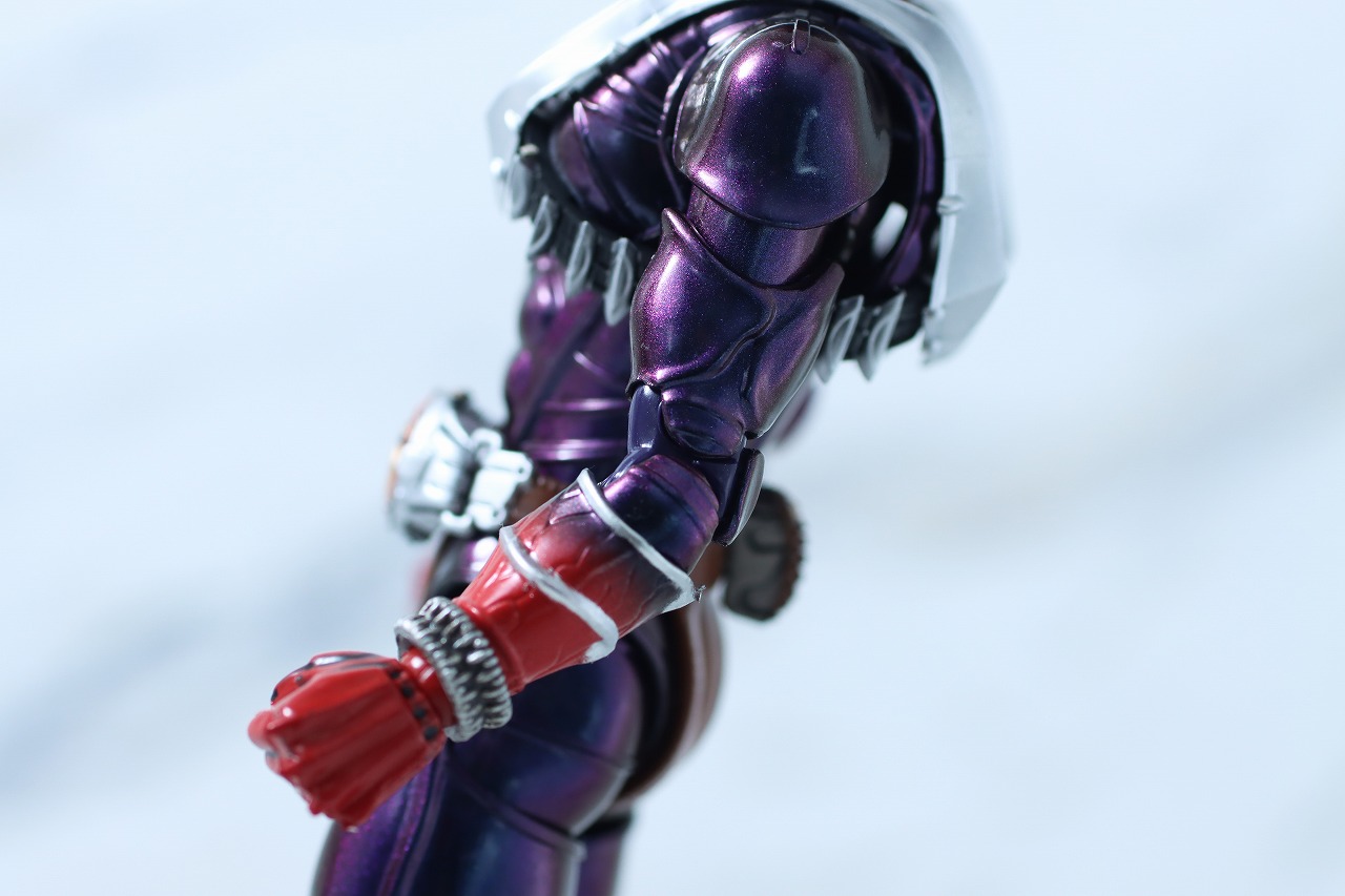 S.H.フィギュアーツ 真骨彫製法　仮面ライダー響鬼　真骨彫 10th Anniversary Ver.　レビュー　本体