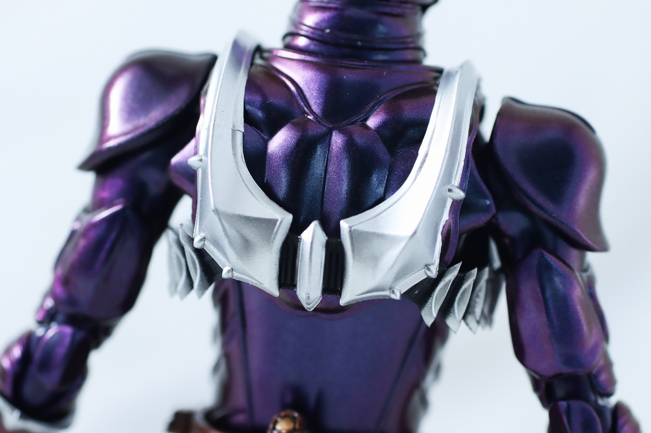 S.H.フィギュアーツ 真骨彫製法　仮面ライダー響鬼　真骨彫 10th Anniversary Ver.　レビュー　本体