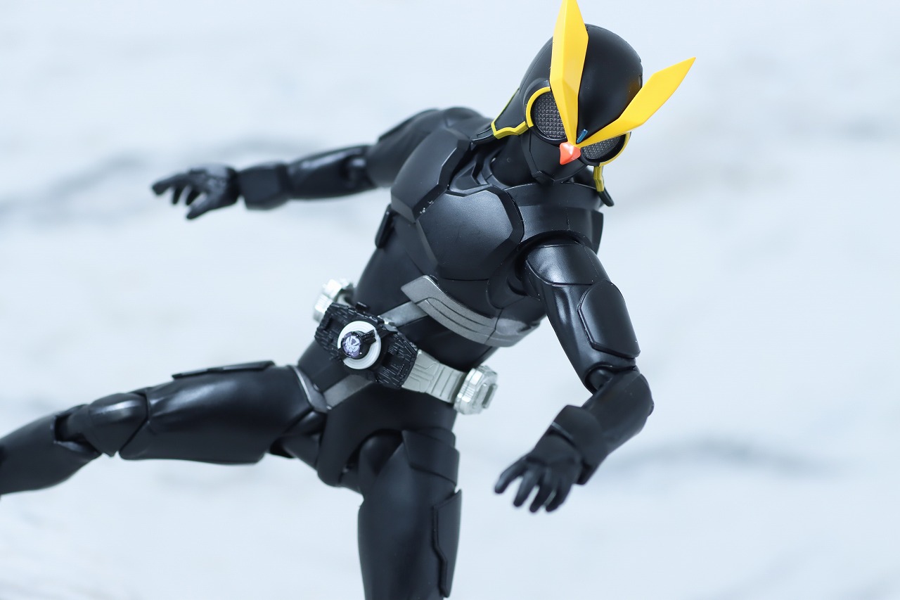 S.H.フィギュアーツ　デザイアグランプリ エントリーレイズセット　仮面ライダーギンペン　レビュー　アクション