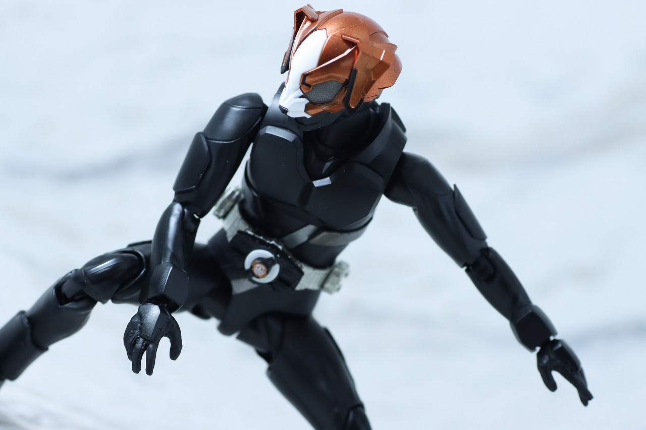 S.H.フィギュアーツ　デザイアグランプリ エントリーレイズセット　仮面ライダーグルービー　レビュー　アクション