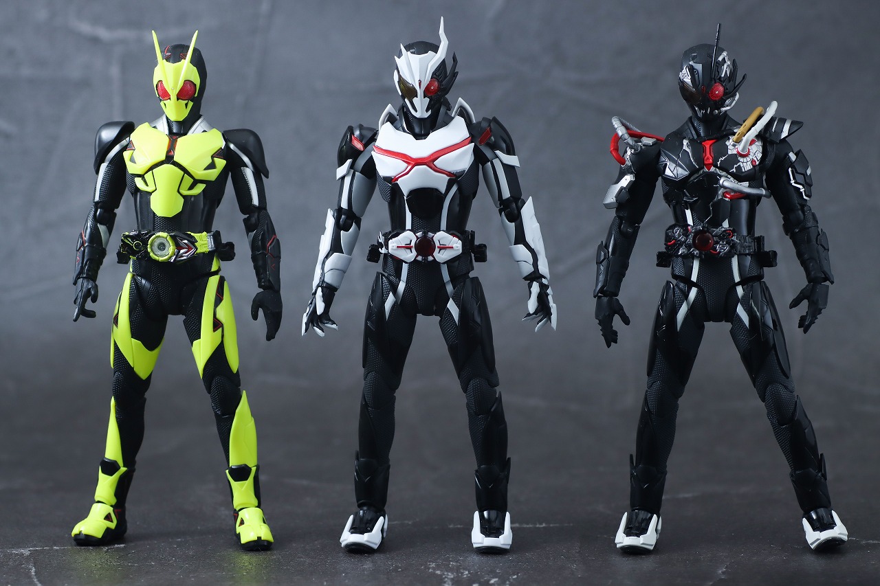 S.H.フィギュアーツ　仮面ライダーアークワン　　レビュー　本体