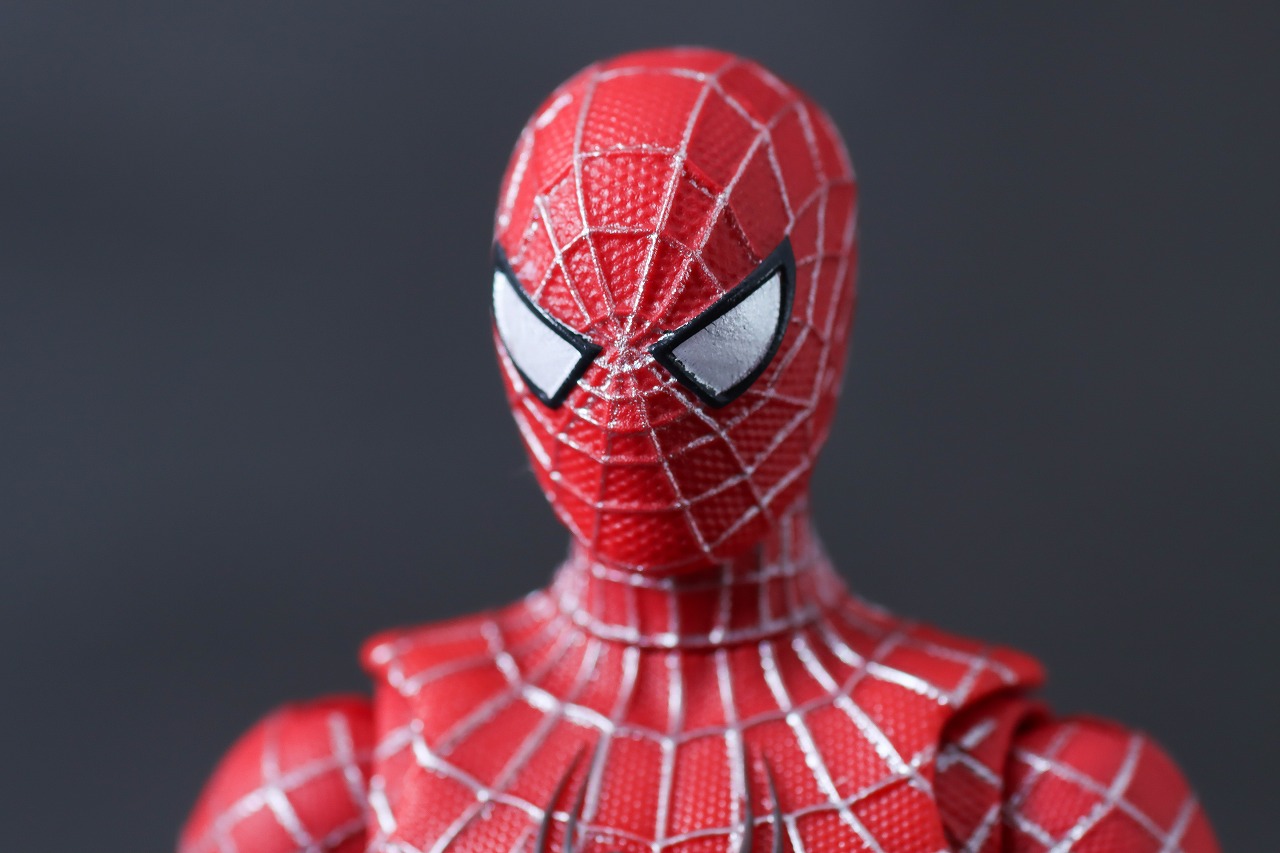 マーベルレジェンド　フレンドリー・ネイバーフッド・スパイダーマン　レビュー　付属品　マスクヘッド