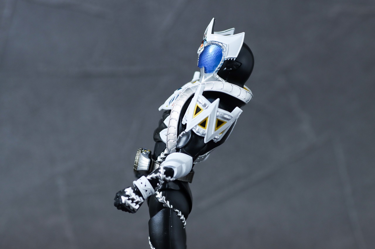 S.H.フィギュアーツ　仮面ライダーサガ　真骨彫製法　レビュー　可動範囲