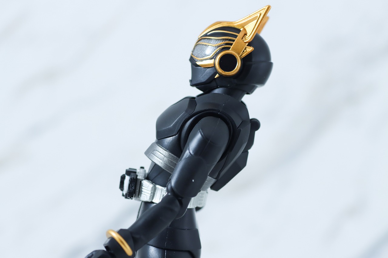 S.H.フィギュアーツ　仮面ライダーナーゴ エントリーレイズフォーム＆エントリーレイズセット　レビュー　可動範囲