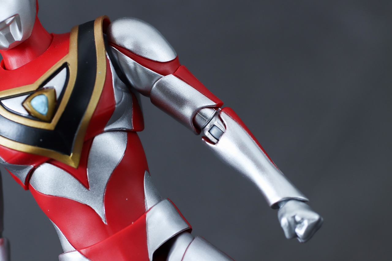 S.H.フィギュアーツ　ウルトラマンガイア V2　真骨彫製法　レビュー　本体