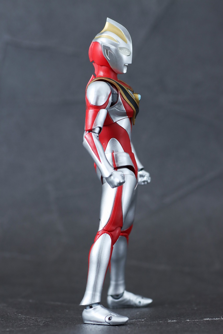 S.H.フィギュアーツ　ウルトラマンガイア V2　真骨彫製法　レビュー　本体