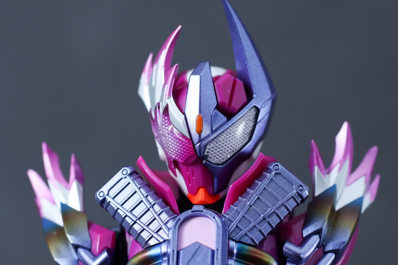 S.H.フィギュアーツ　仮面ライダーヴァルバラド　レビュー　本体