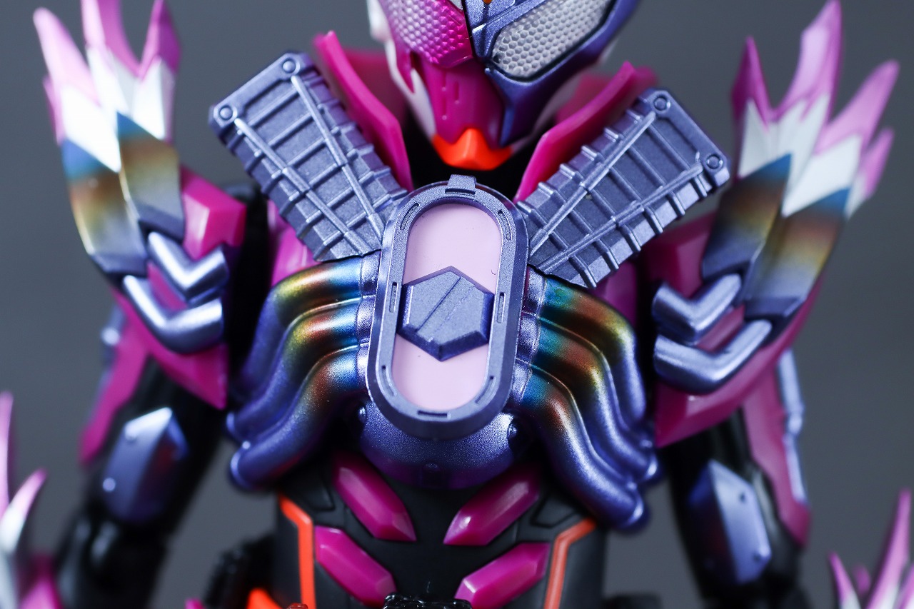 S.H.フィギュアーツ　仮面ライダーヴァルバラド　レビュー　本体