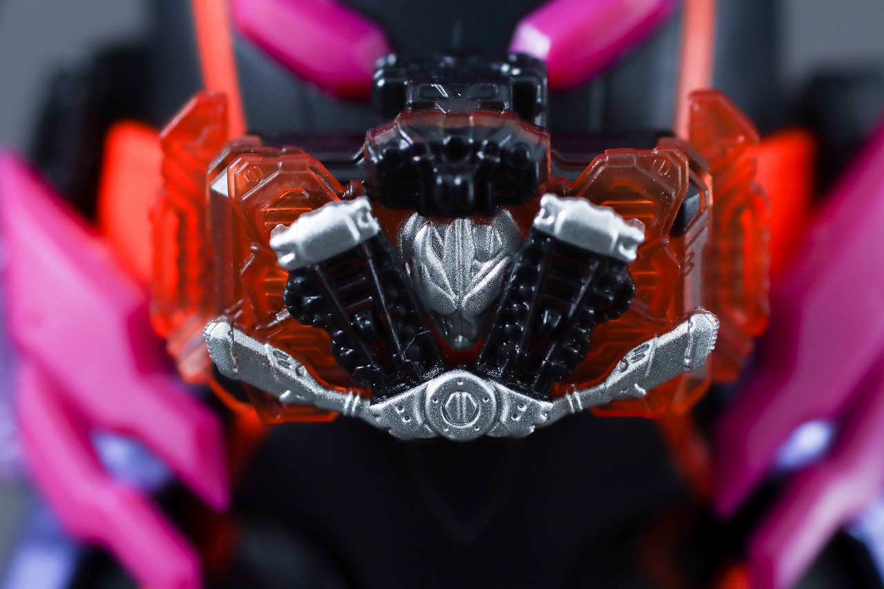 S.H.フィギュアーツ　仮面ライダーヴァルバラド　レビュー　本体