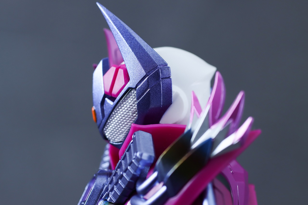 S.H.フィギュアーツ　仮面ライダーヴァルバラド　レビュー　可動範囲