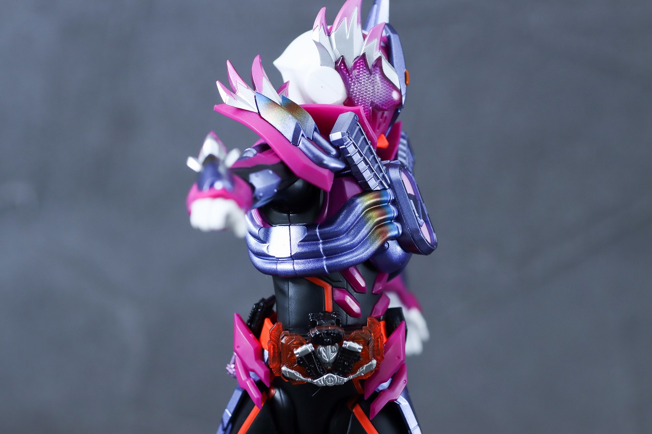 S.H.フィギュアーツ　仮面ライダーヴァルバラド　レビュー　可動範囲