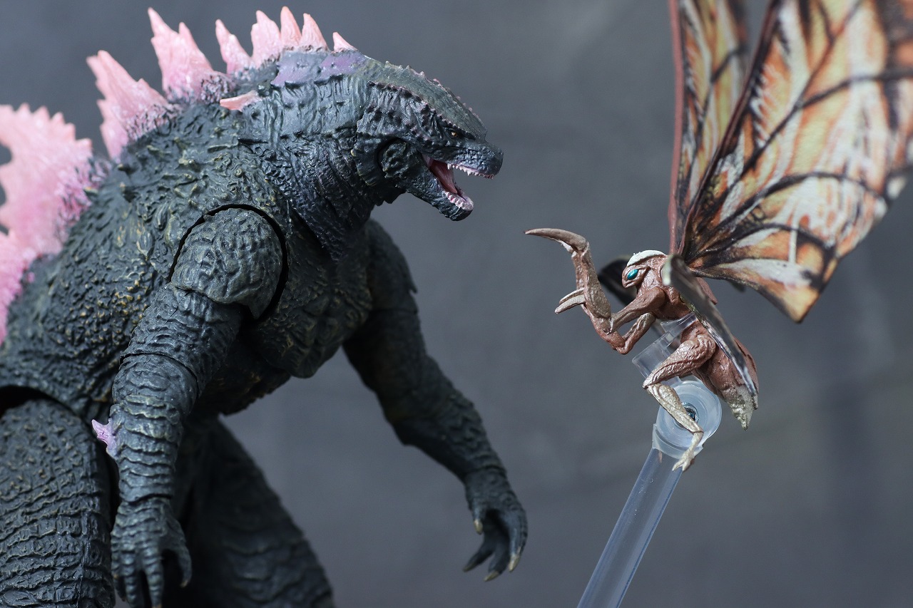 S.H.モンスターアーツ　スーコ＆モスラ（ゴジラ×コング：新たなる帝国）　レビュー　アクション　ゴジラ エヴォルヴ