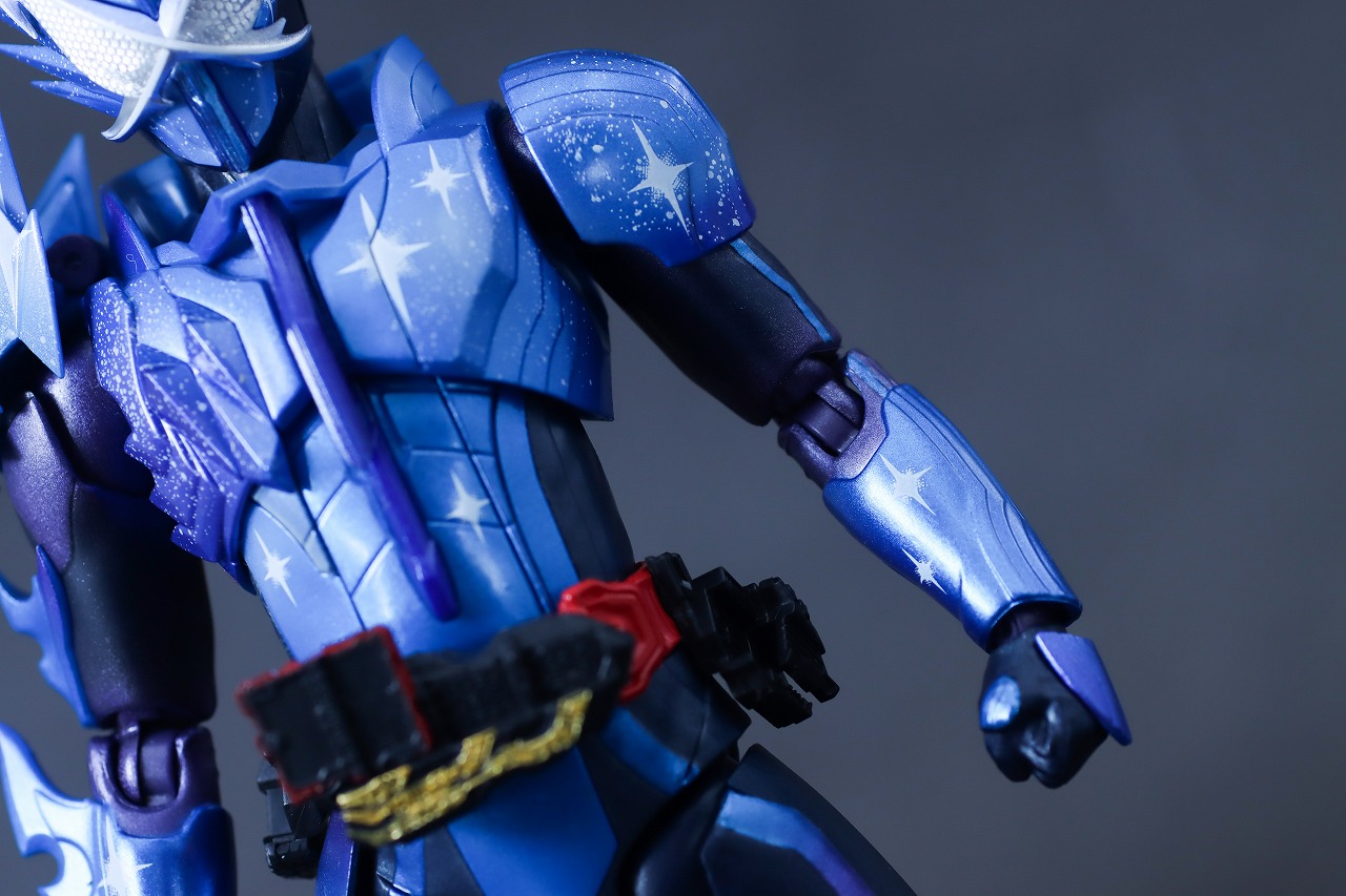 S.H.フィギュアーツ 仮面ライダークロスセイバー レビュー 本体