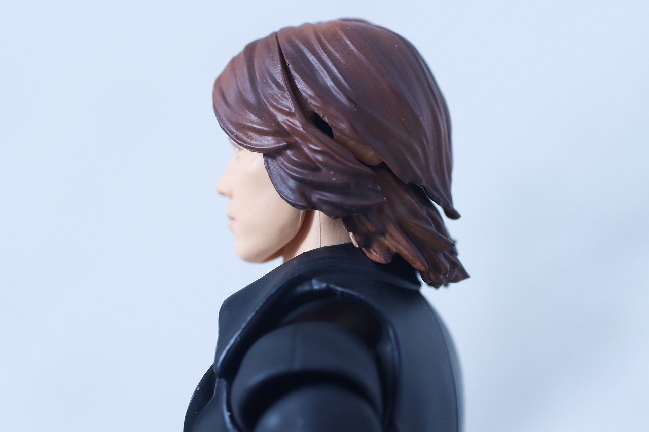 S.H.フィギュアーツ　乾巧　レビュー　本体
