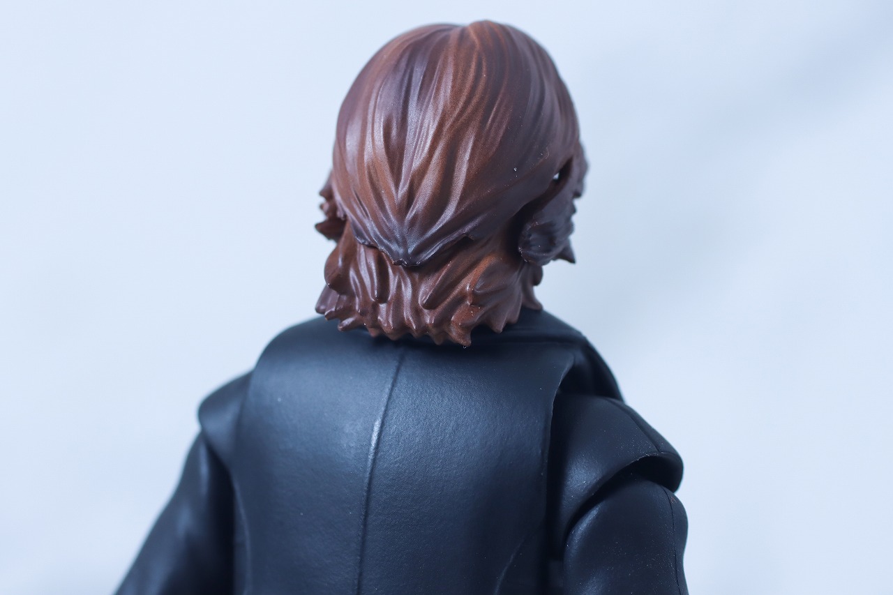 S.H.フィギュアーツ 乾巧 レビュー 本体