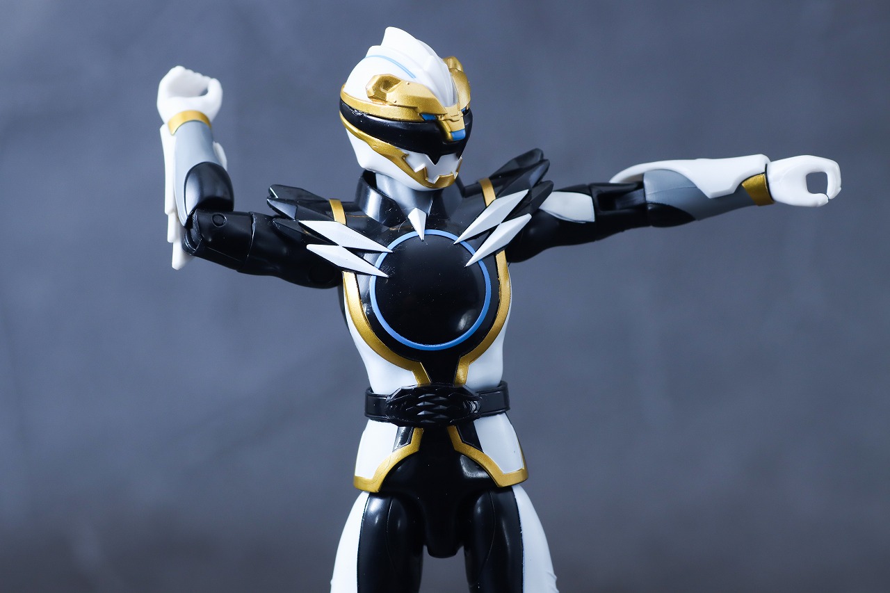 アクションヒーロー ゴジュウポーラー レビュー 可動範囲