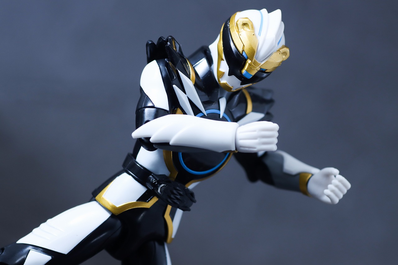 アクションヒーロー ゴジュウポーラー レビュー アクション
