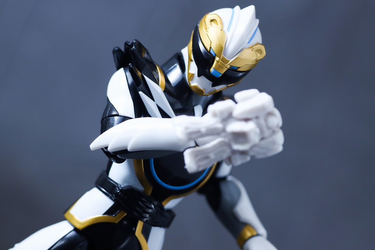 アクションヒーロー ゴジュウポーラー レビュー アクション