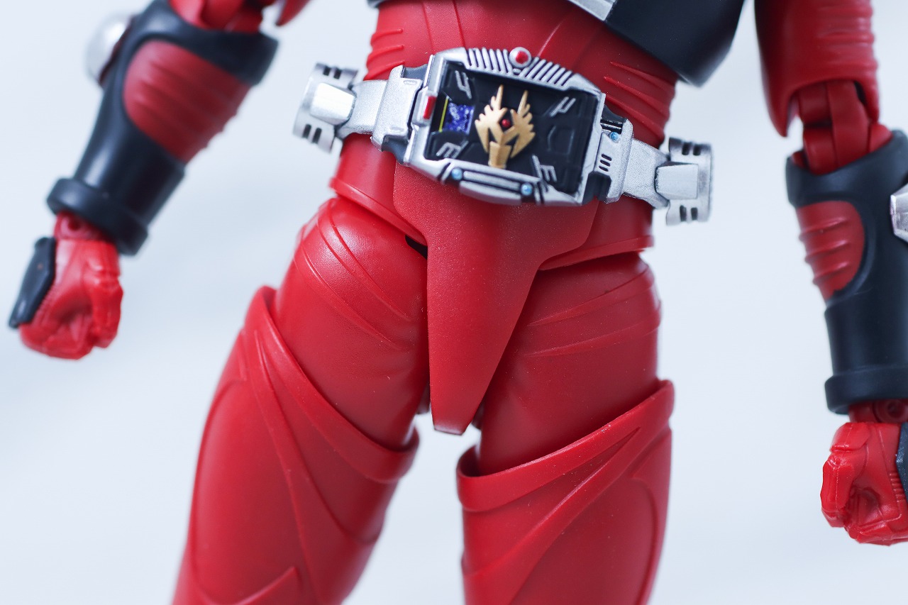 S.H.フィギュアーツ 真骨彫製法 仮面ライダー龍騎 レビュー 本体