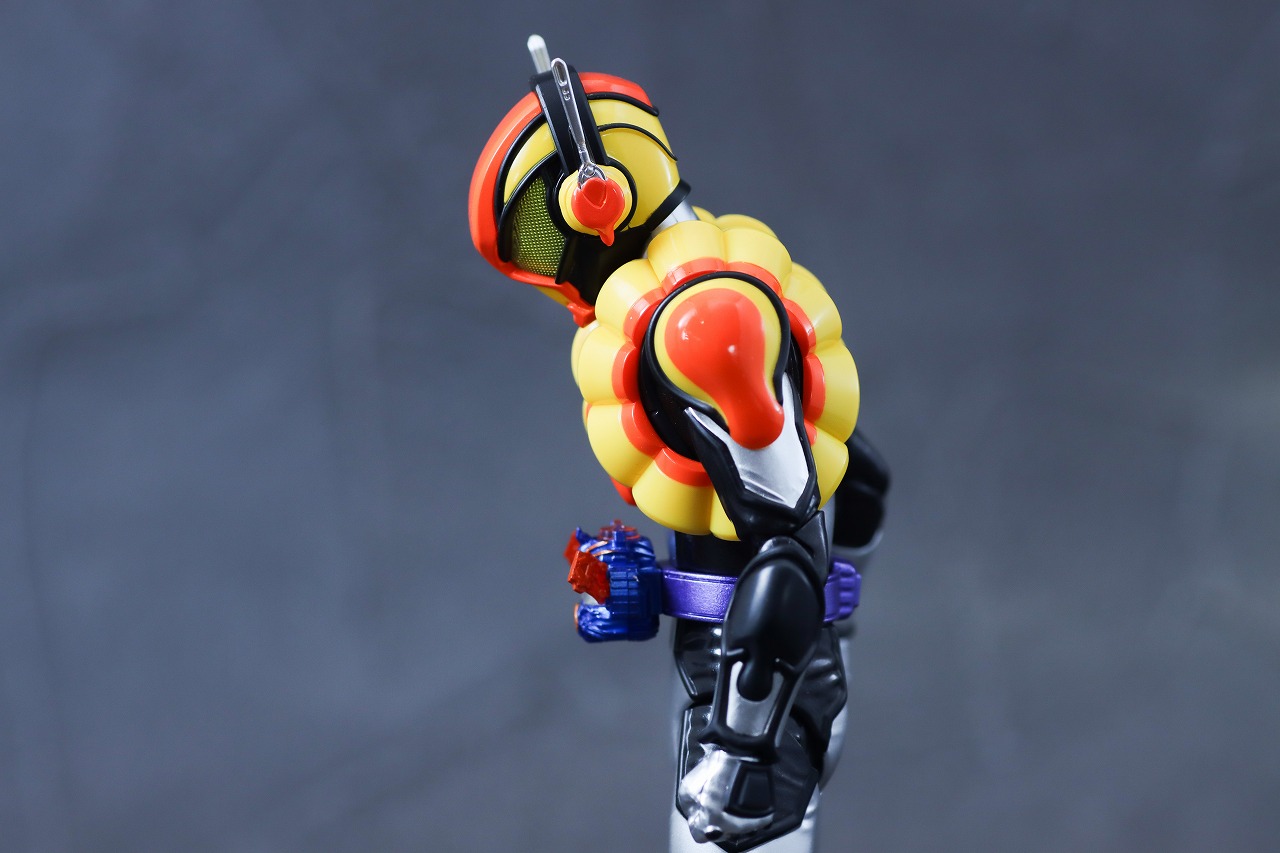 S.H.フィギュアーツ　仮面ライダーヴラム プリンカスタム　レビュー　可動範囲