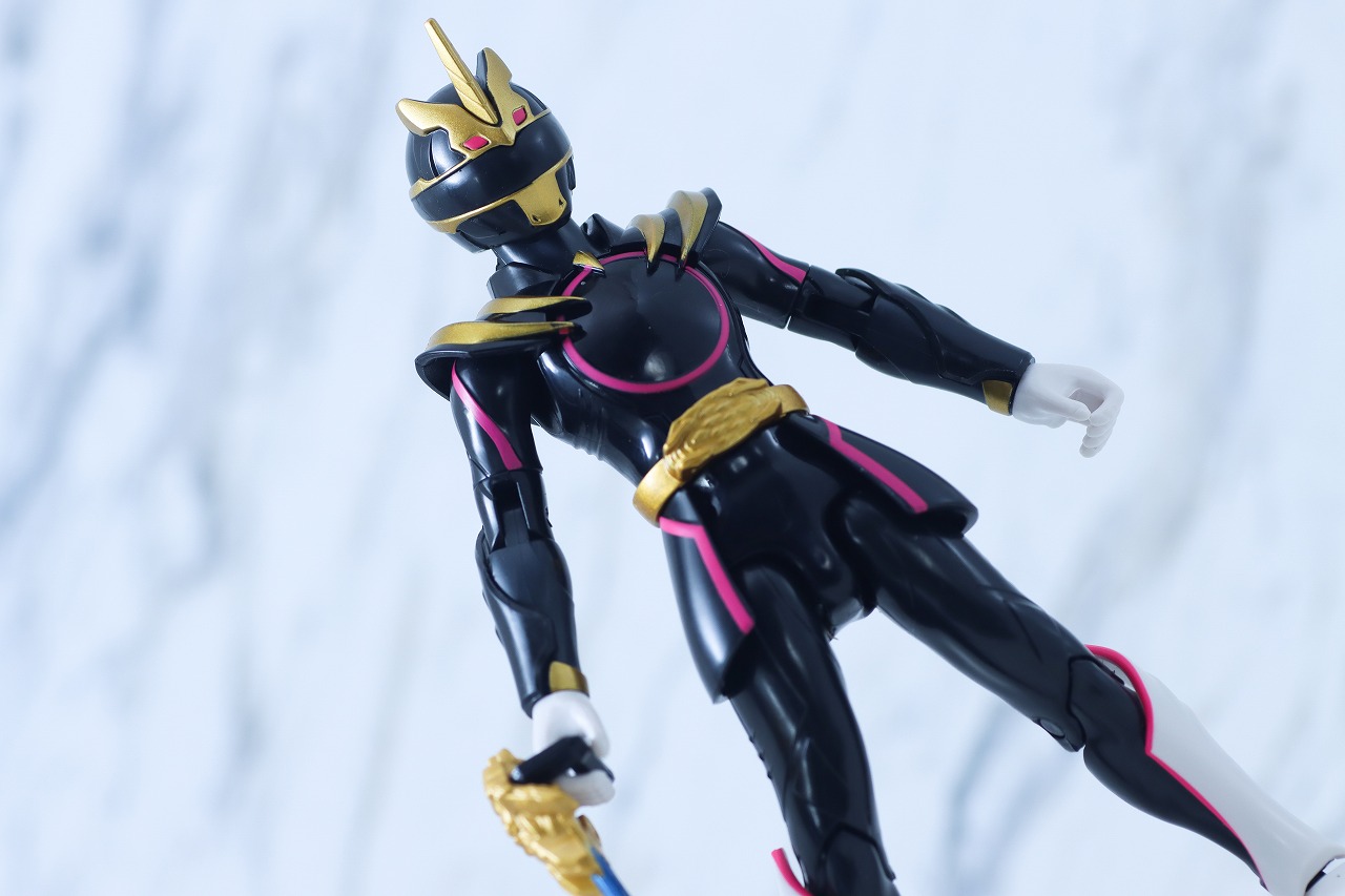アクションヒーロー ゴジュウユニコーン レビュー アクション