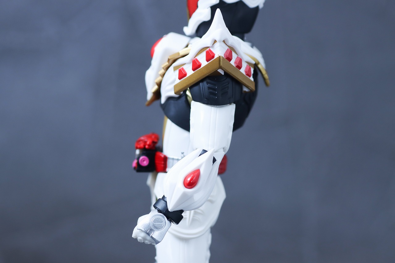 S.H.フィギュアーツ　仮面ライダーガヴ ケーキングフォーム　レビュー　本体