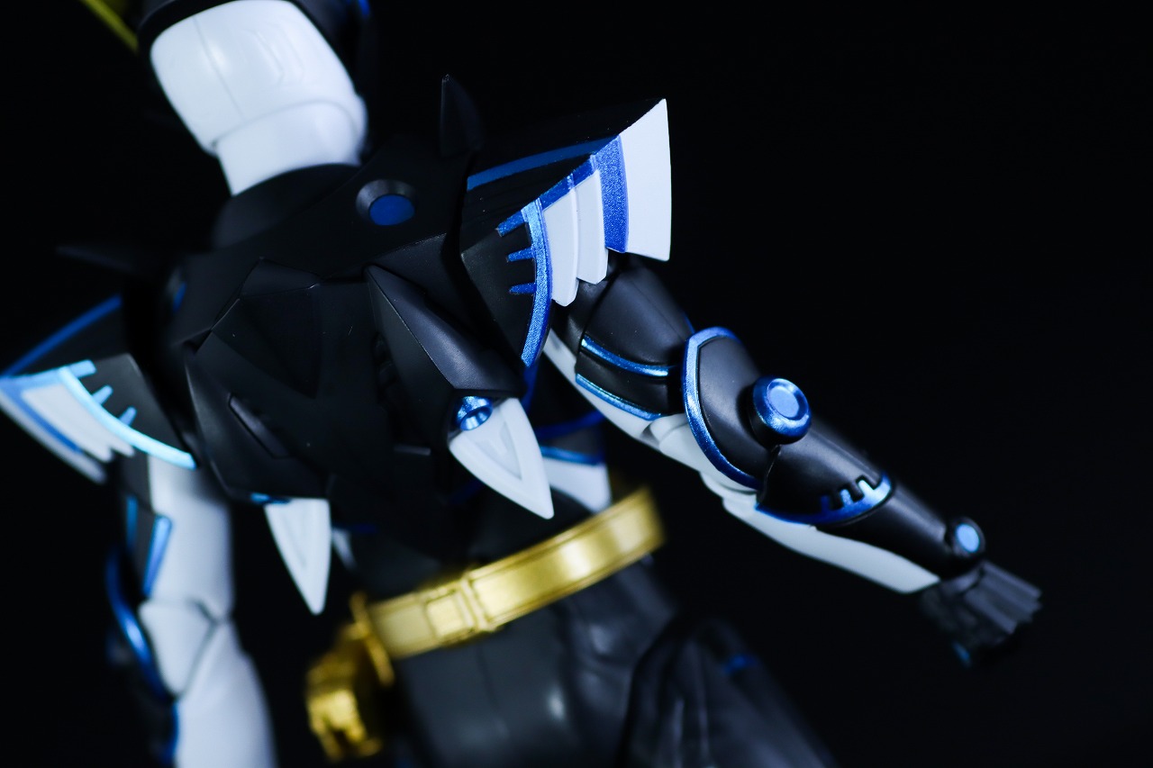 S.H.フィギュアーツ 仮面ライダーデュランダル オーシャンヒストリー レビュー 本体