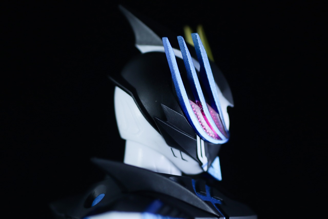 S.H.フィギュアーツ 仮面ライダーデュランダル オーシャンヒストリー レビュー 本体