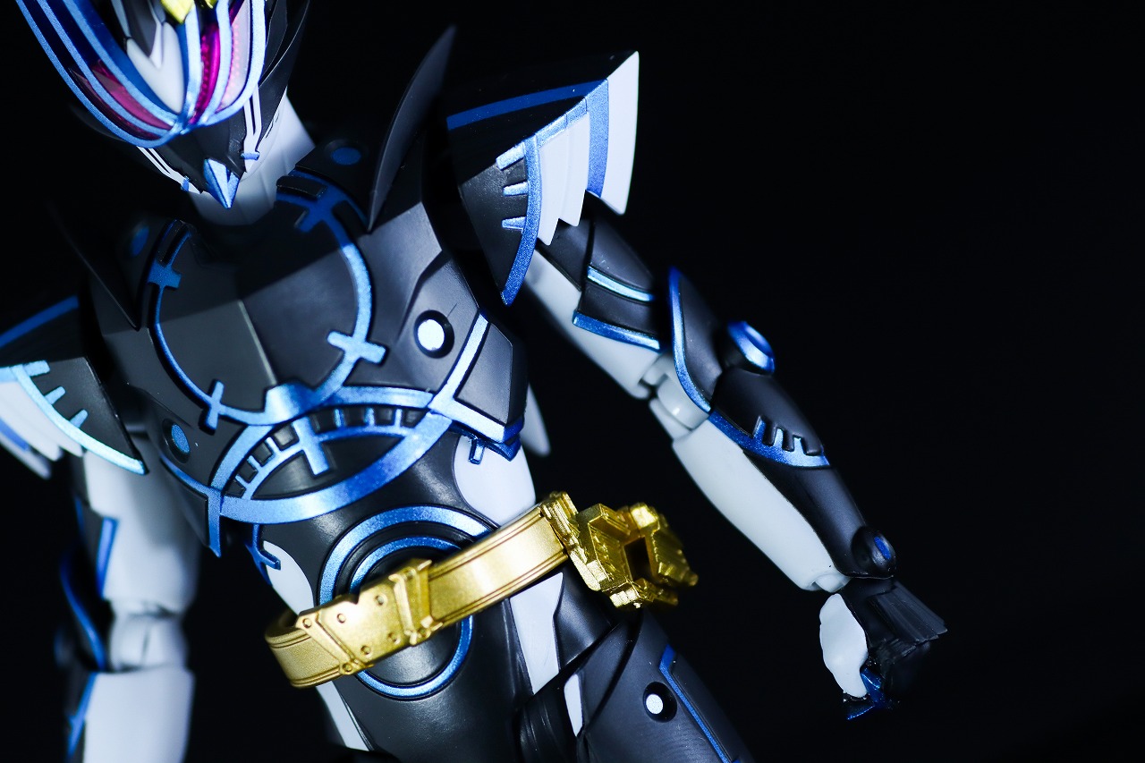S.H.フィギュアーツ 仮面ライダーデュランダル オーシャンヒストリー レビュー 本体