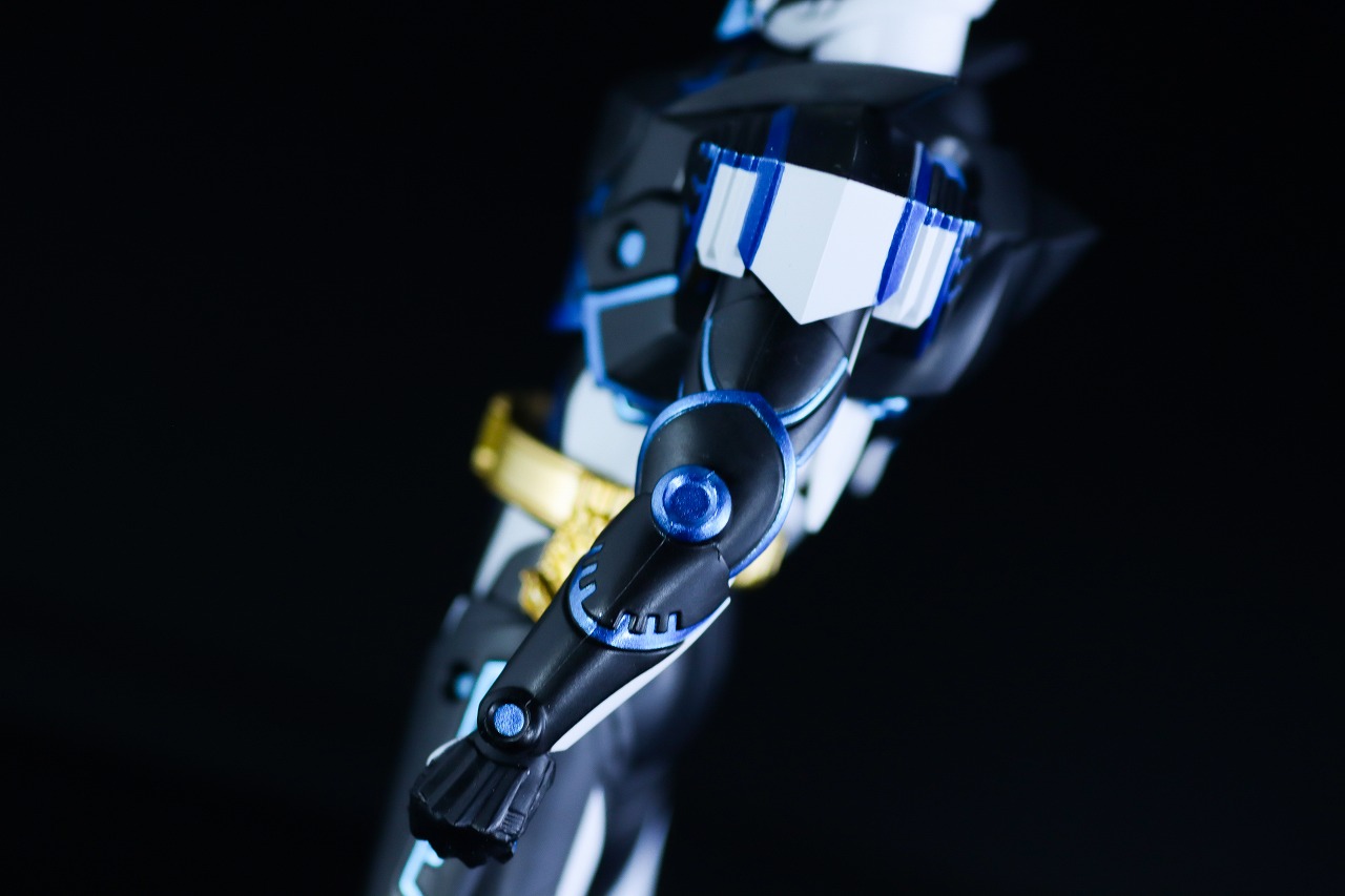 S.H.フィギュアーツ 仮面ライダーデュランダル オーシャンヒストリー レビュー 本体