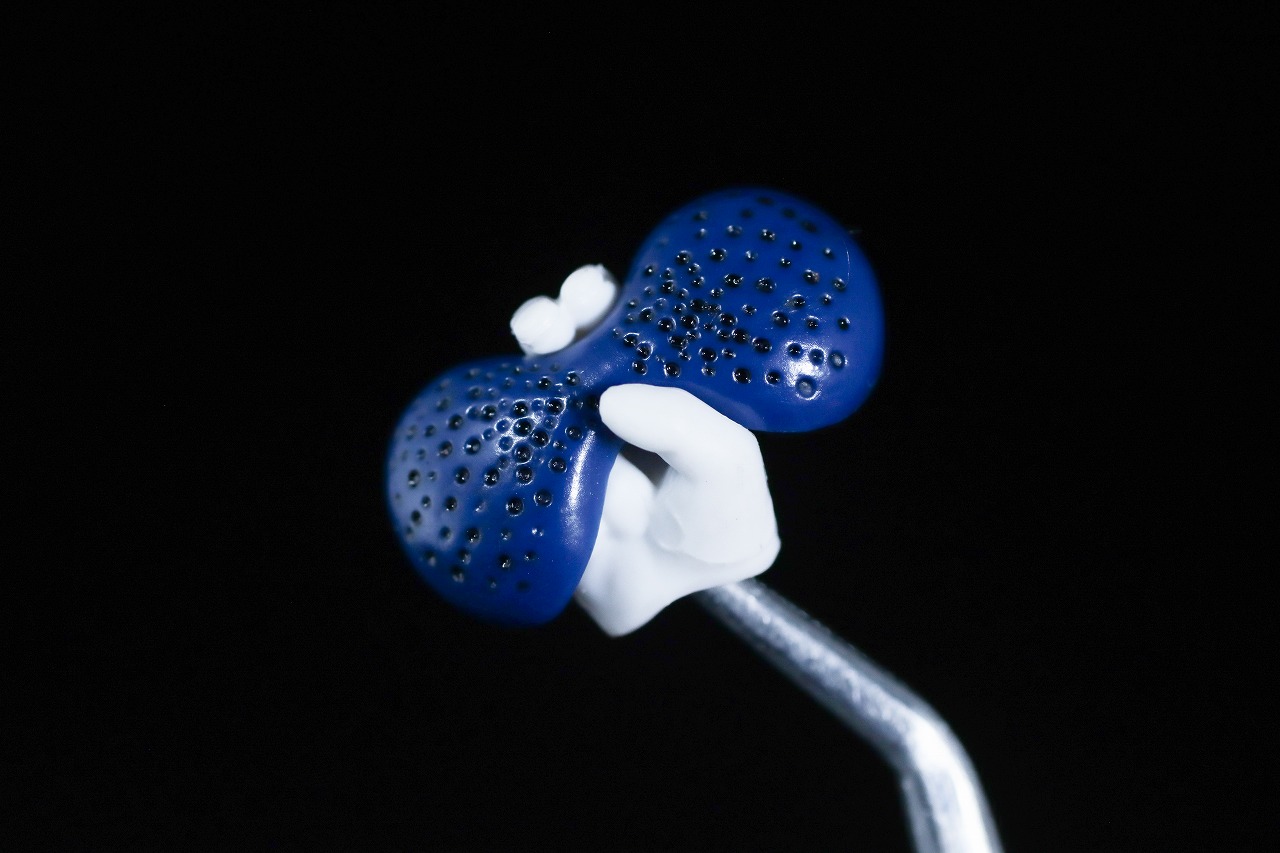 S.H.フィギュアーツ 真骨彫製法　アカレンジャー 50th Anniversary ver.　レビュー　付属品　レッドビュート　マスク