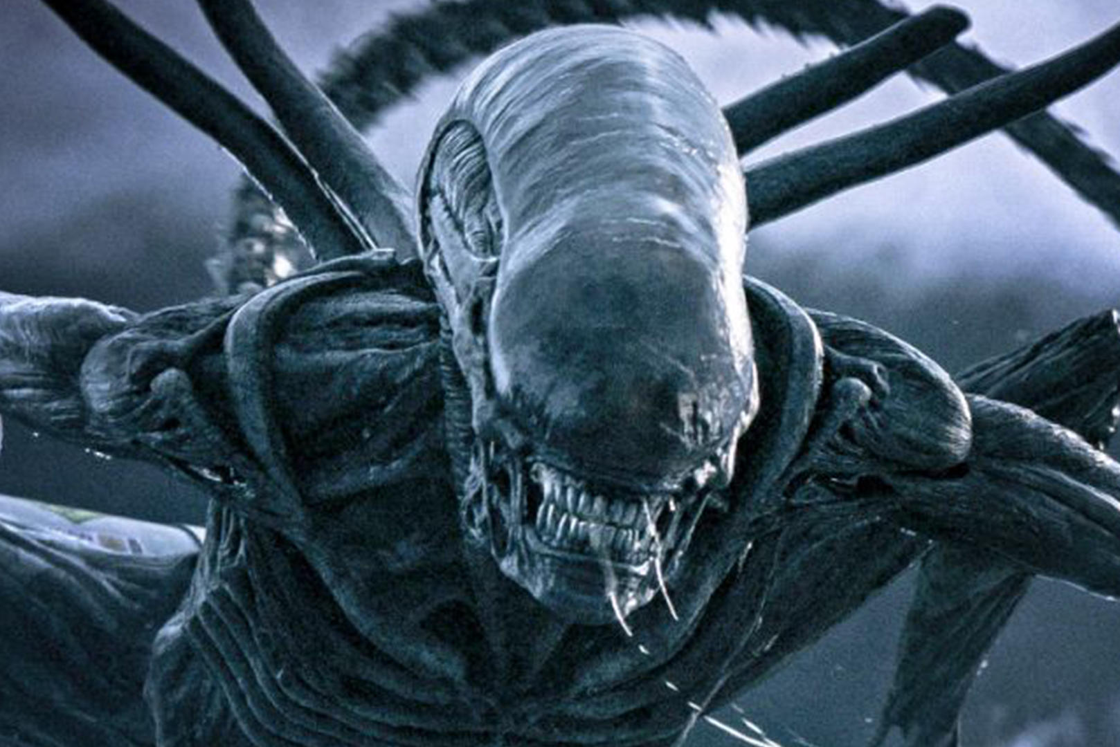 シガニー・ウィーバー、『エイリアン』復帰の可能性に言及 ー 「戻りたいとは思っていない」