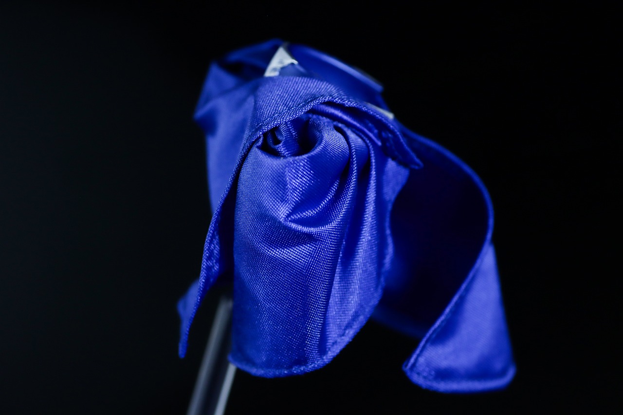 S.H.フィギュアーツ ニュージェネレーション ウルトラマンケープ レビュー 本体