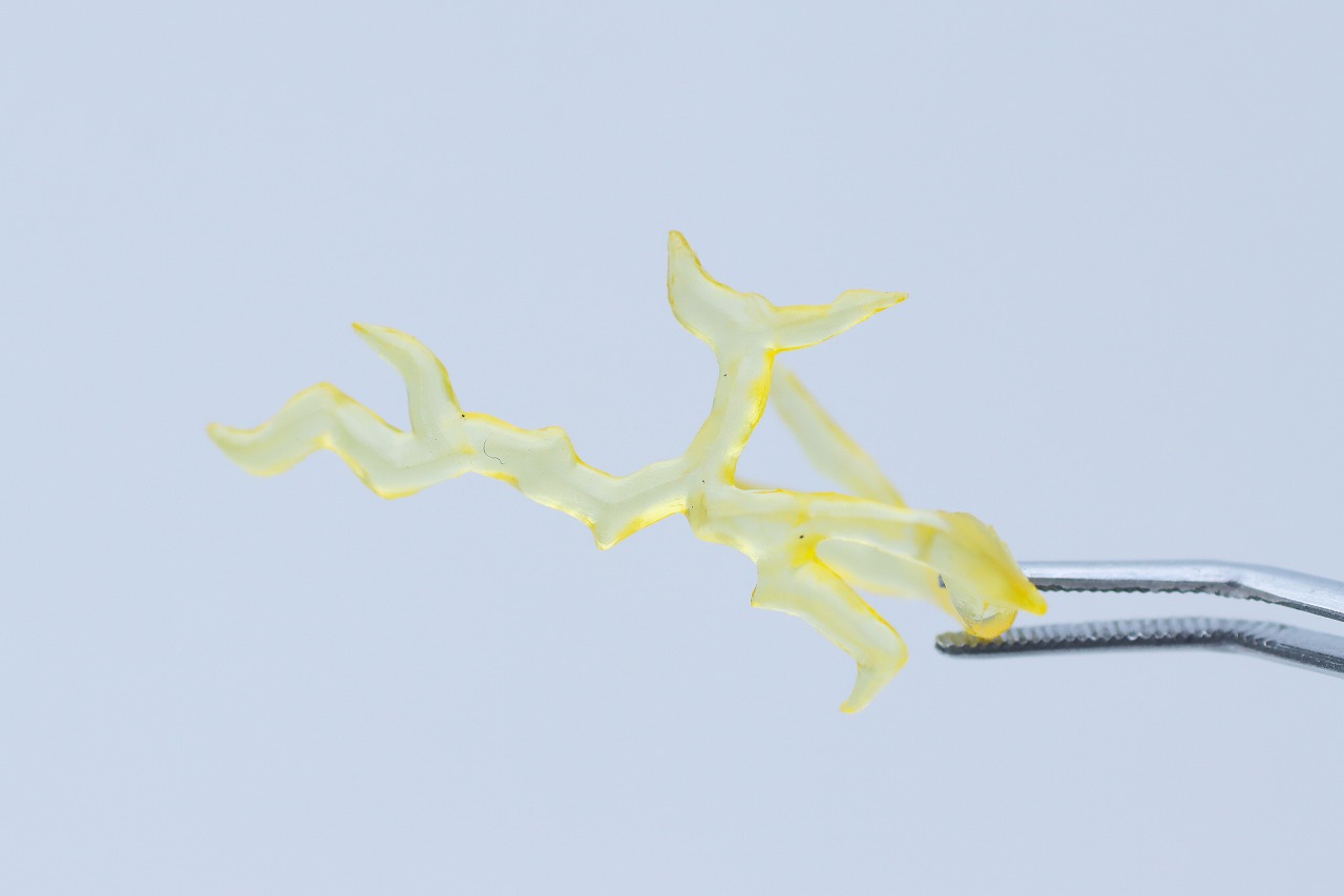 S.H.モンスターアーツ　デストロイア（完全体） 東京臨海副都心決戦ver.　レビュー　付属品　電撃エフェクト