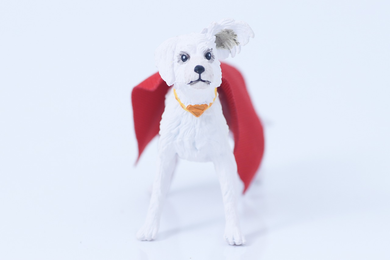 DCマルチバース　スーパーマン＆クリプト（『スーパーマン』）　レビュー　付属品　クリプト本体