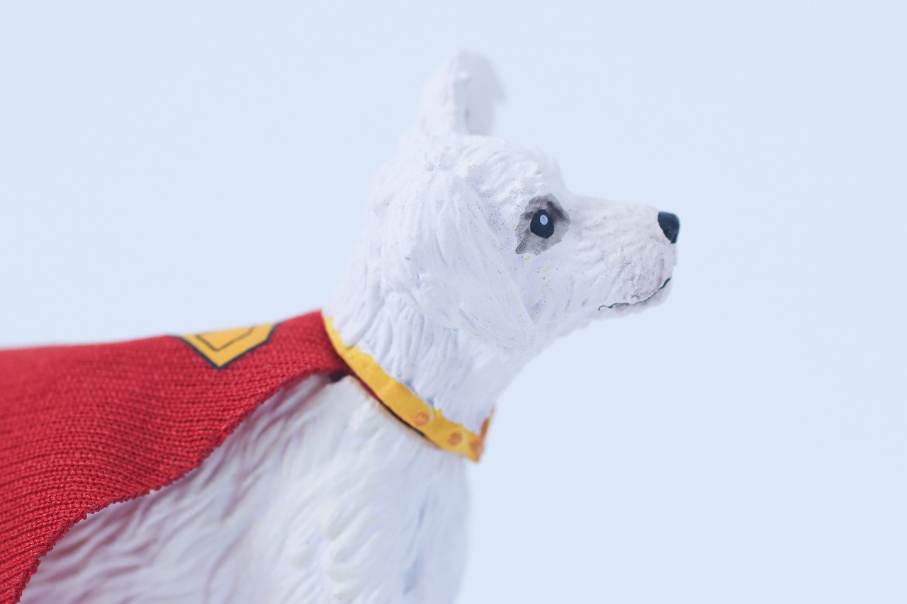 DCマルチバース　スーパーマン＆クリプト（『スーパーマン』）　レビュー　付属品　クリプト本体