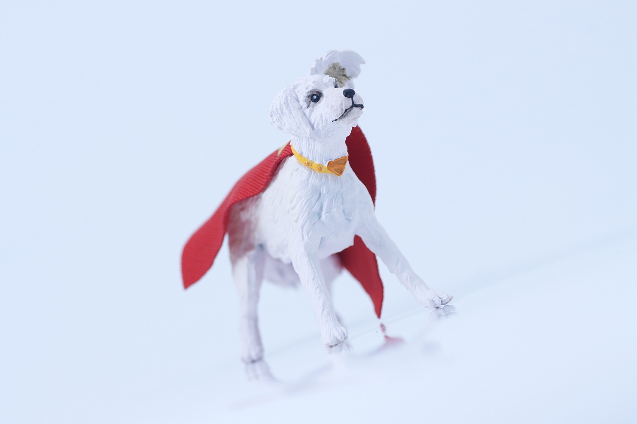 DCマルチバース　スーパーマン＆クリプト（『スーパーマン』）　レビュー　アクション