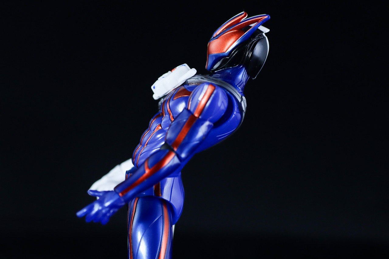 仮面ライダーアクションフィギュア 仮面ライダーノクス　レビュー　可動範囲